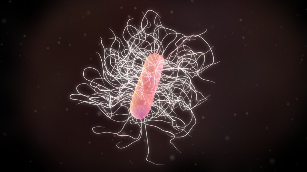 Ilustración 3D generada por computadora de una bacteria Clostridium difficile